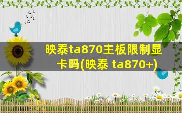 映泰ta870主板限制显卡吗(映泰 ta870+)